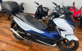 HONDA  FORZA 250 MF15