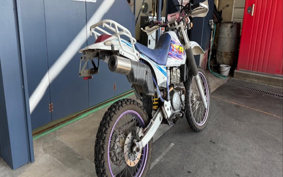 YAMAHA TT250R 4GY