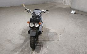 HONDA ZUMAR AF58