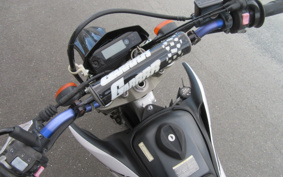 YAMAHA WR250R DG15J