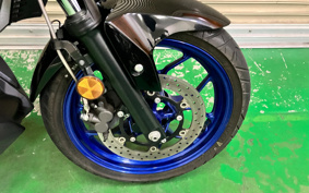 YAMAHA MT-25 RG43J
