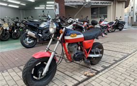HONDA APE50 AC16