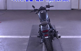 OTHER  REBEL 250A