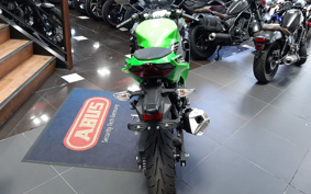 KAWASAKI NINJA 250 KRT ED EX250P