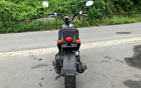 HONDA ZUMAR AF58
