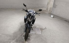 YAMAHA FZ25 RG42