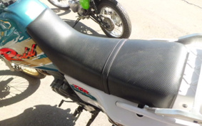YAMAHA TT250RRAID 4GY