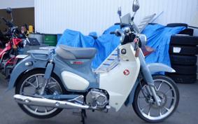 HONDA  SUPER CUB C125 JA48