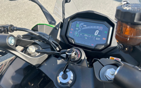 KAWASAKI NINJA 1000 SX 2024 ZXT02K