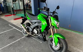 KAWASAKI Z125 PRO BR125H