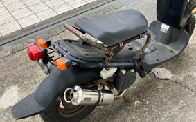 HONDA ZUMAR AF58