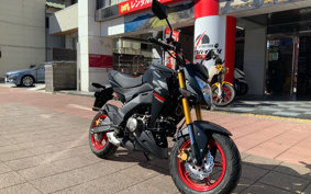 KAWASAKI Z125 PRO BR125H
