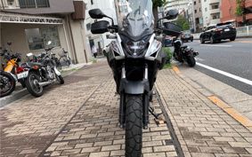 KTM 250EXC CHAMPION ED GSA20