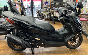 HONDA  FORZA 250 MF17