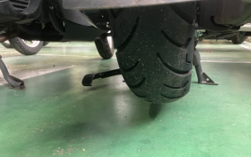 HONDA  BENLY  PRO  AA05