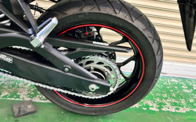 YAMAHA YZF-R25 RG74J