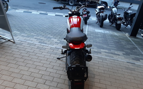 DUCATI  DUCATI  SCRAMBLER  ICON  2021 3K00