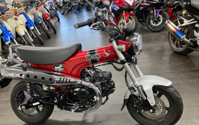 HONDA  DUX 125 JB04