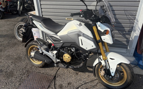 HONDA GROM JC75