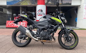 KAWASAKI Z250 EX250P