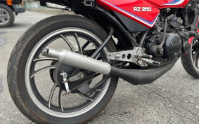 YAMAHA RZ 250 4L3