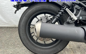 OTHER  REBEL 500