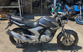 YAMAHA YBR250 PCNL