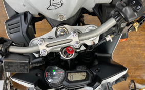YAMAHA FZ-1 FEATHER 2010 RN21J