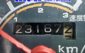 HONDA C50