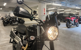 TRIUMPH  TRIUMPH  SCRAMBLER  STEREO RUSUED 2024 DAD78G