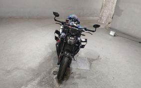 BMW M1000R 0E81