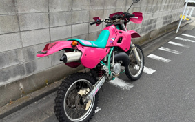 KAWASAKI KDX250SR DX250F