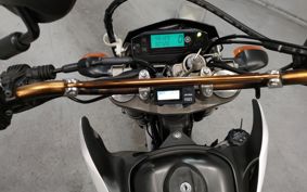 YAMAHA WR250X DG15J
