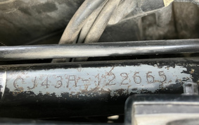 SUZUKI SKYWAVE 250SS CJ43A
