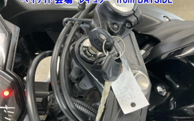 YAMAHA YZF-R25