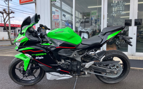 KAWASAKI NINJA ZX-25R KRT ED ZX250E