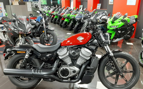 HARLEY  HARLEY RH975 NIGHT  STAR  2023 ZH1
