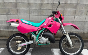 KAWASAKI KDX250SR DX250F