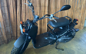 HONDA ZUMAR AF58