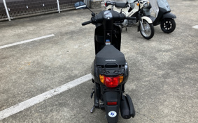 HONDA MANY CTOR AF79