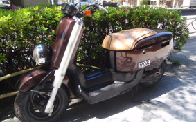 YAMAHA VOX SA31J