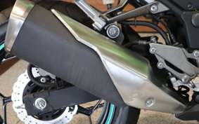 KAWASAKI NINJA 250 EX250L