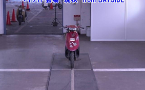 SUZUKI SEPIA