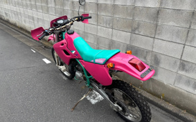 KAWASAKI KDX250SR DX250F