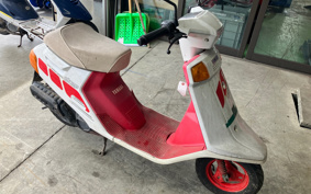 YAMAHA  CHAMP  54V