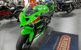 KAWASAKI NINJA ZX-6R KRT ED 2024 ZX636J