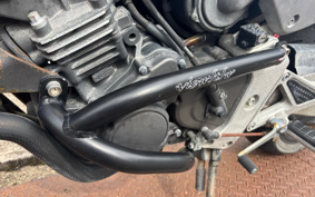 HONDA HORNET250