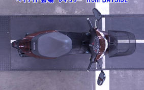OTHER  DIO 7