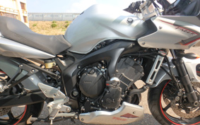 YAMAHA FZ-6S FEATHER 2009 RJ14