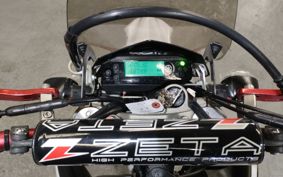 YAMAHA WR250X DG15J